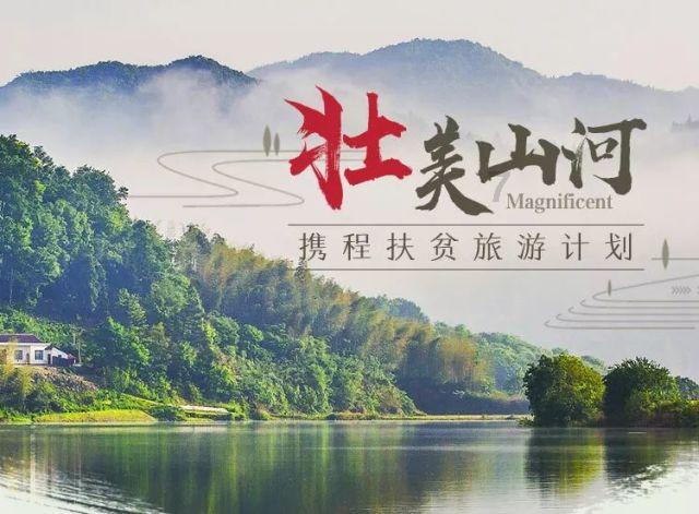 狗狗物品记忆卡